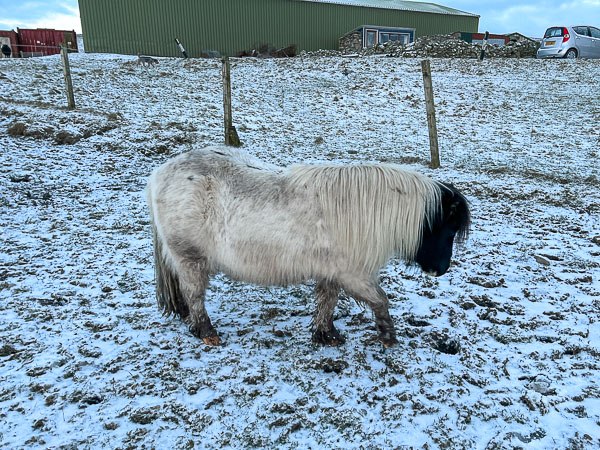 myshetland.co.uk