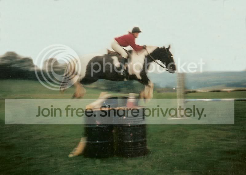picsfromyard1-1.jpg