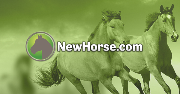 www.newhorse.com